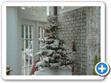 Thumbnail of Christmas tree on a snow